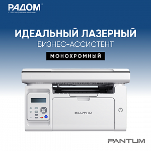 МФУ лазерное Pantum M6507W