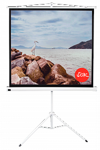 Экран для проектора S'OK SCPST-220x220 123'' 1:1 напольный, на треноге, матовый, белый