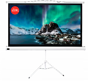 Экран для проектора S'OK SCPST-221x124 100'' 16:9 напольный, на треноге, матовый, белый