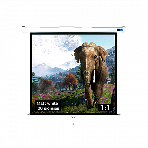 Экран для проектора S'OK SCPSW-180x180 100'' 1:1 настенно-потолочный, ручной, матовый, белый